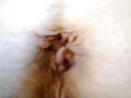 Sam, Lance ilmainen porno karhu Brody